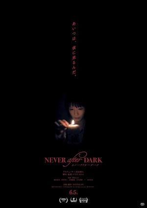 Никогда в темноте / Never After Dark